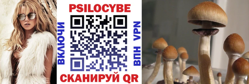 Галлюциногенные грибы MAGIC MUSHROOMS  как найти наркотики  OMG tor  Камызяк 